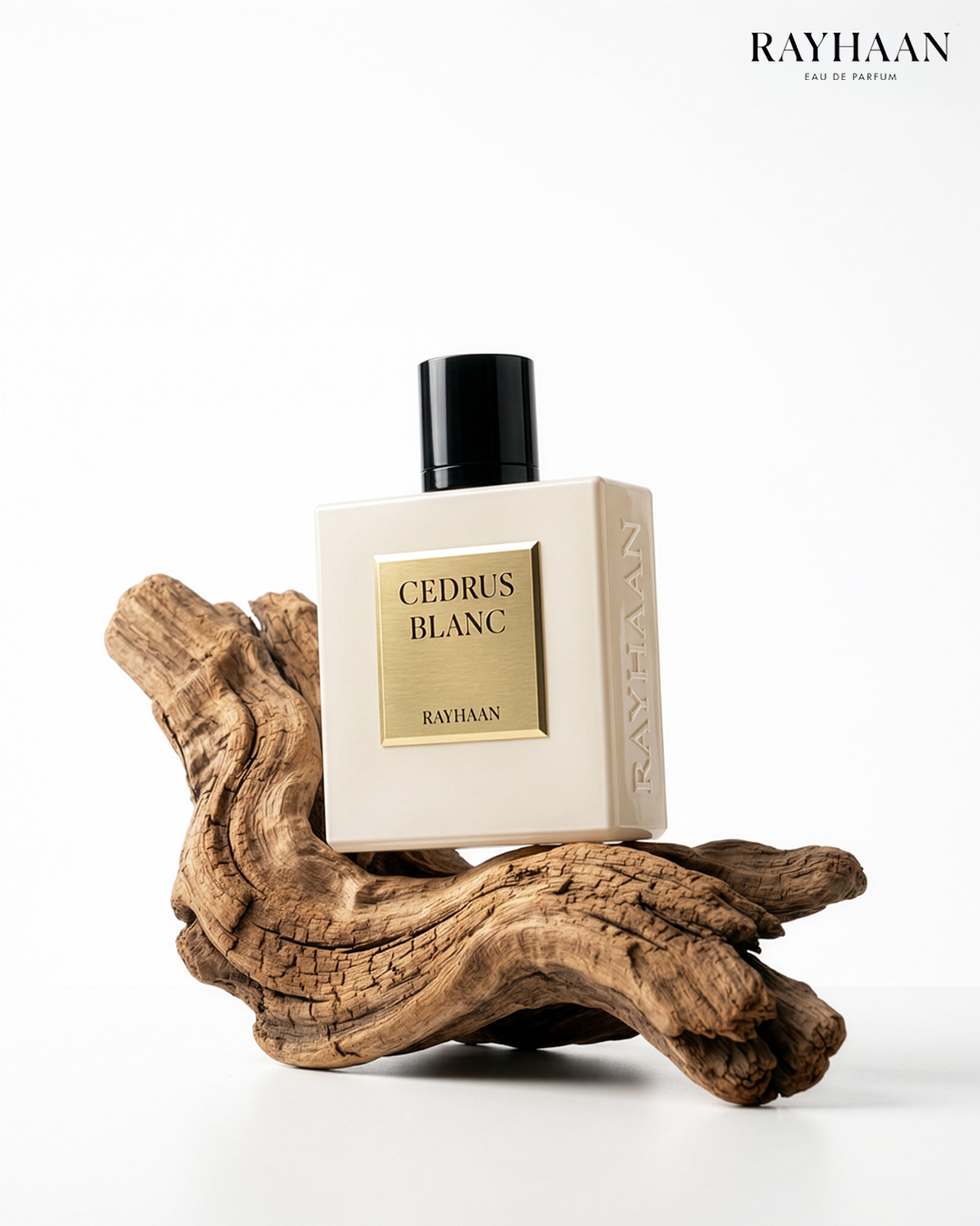 Cedrus Blanc