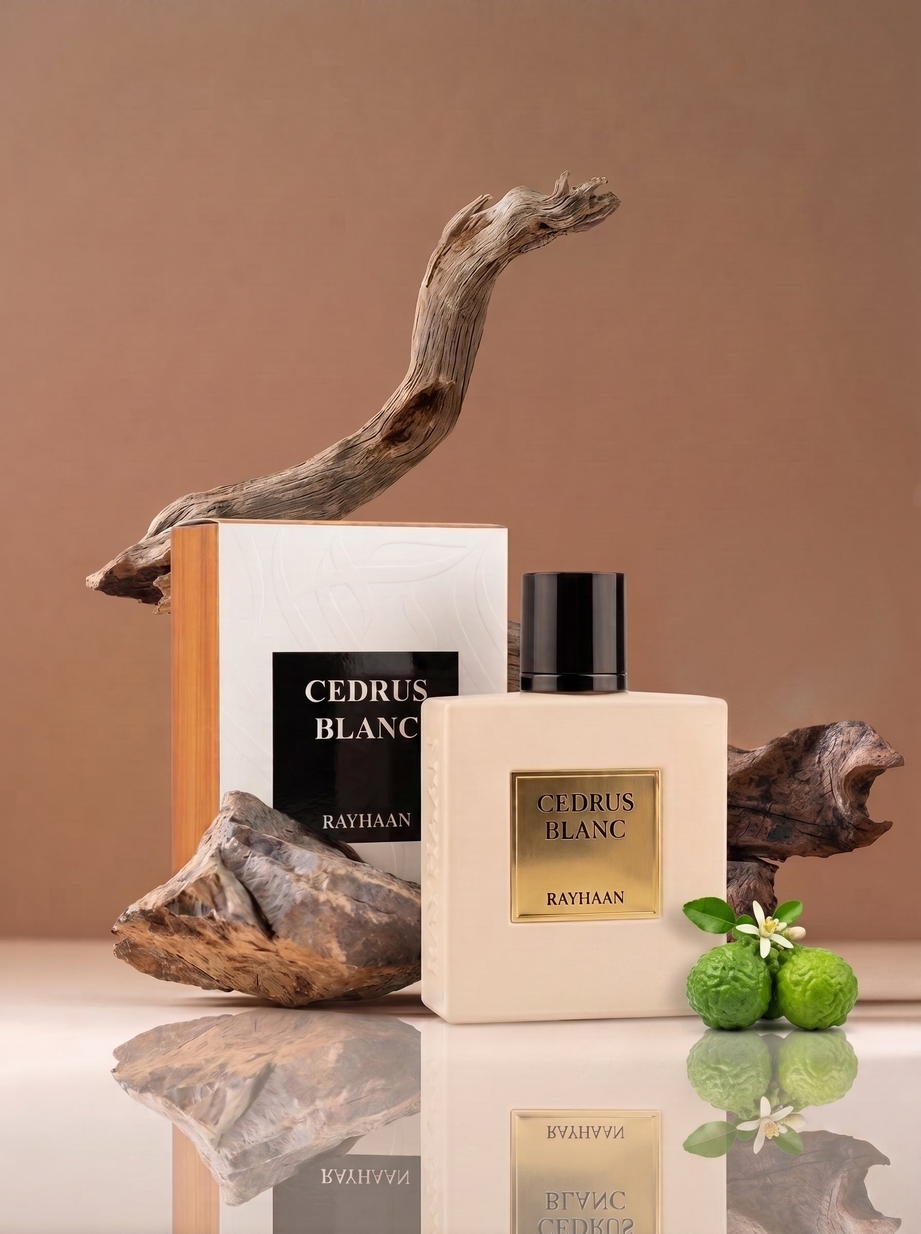 Cedrus Blanc